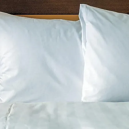 Express - By Ihg Hotel Ratisbona